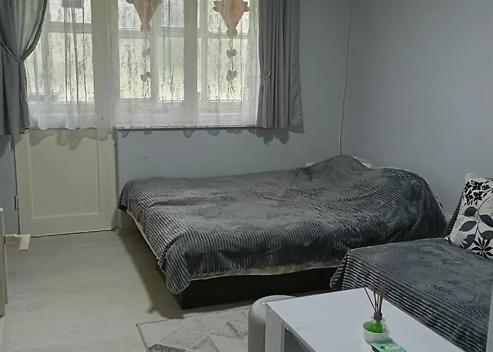 Lenka 2 Sremska Mitrovica